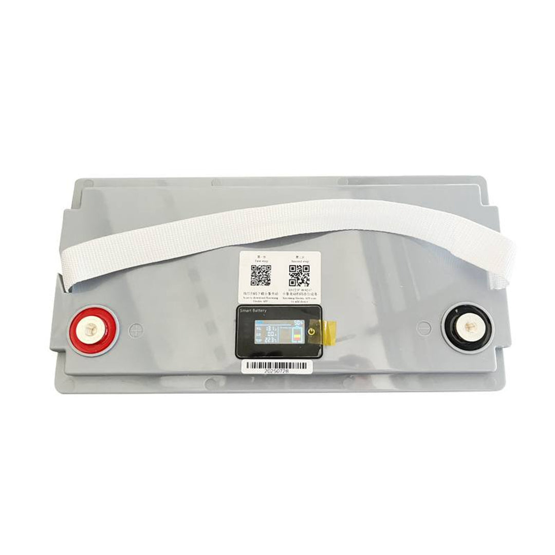 Batería de litio fosfato de hierro LiFePo4 Lexton, con BMS, 12,8 V, 100 Ah, LXLFP100