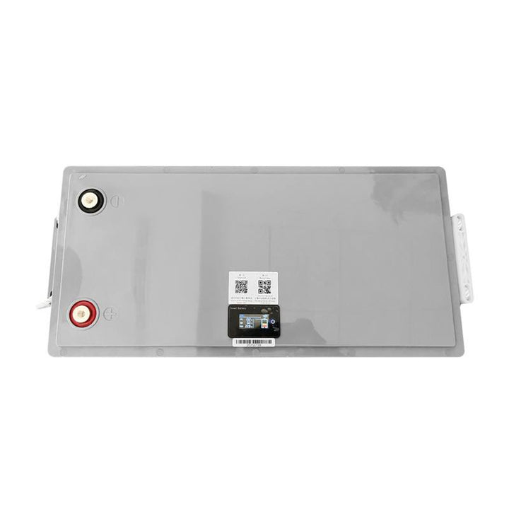 Batería LiFePo4 Lexton de litio-hierro-fosfato, con BMS, 12,8V, 200Ah, LXLFP200