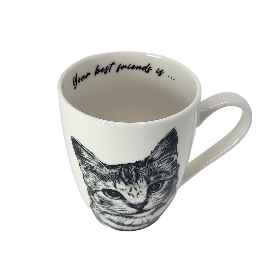Taza de porcelana Reina Isabel, gata americana de pelo corto, 350ml, Q1-05195