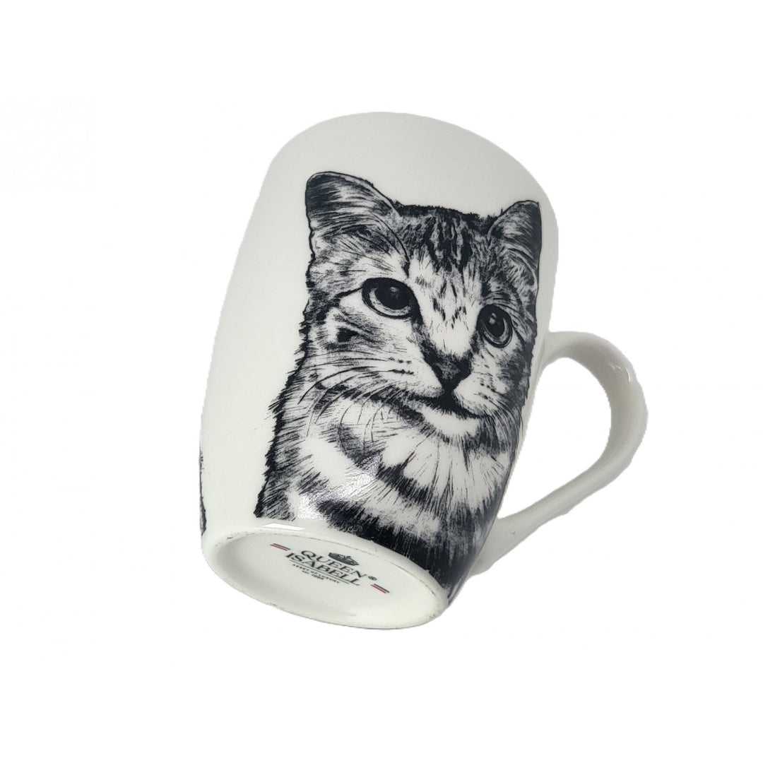 Taza de porcelana Reina Isabel, gata americana de pelo corto, 350ml, Q1-05195