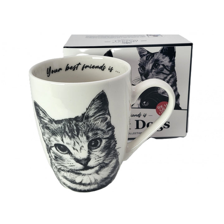Taza de porcelana Reina Isabel, gata americana de pelo corto, 350ml, Q1-05195