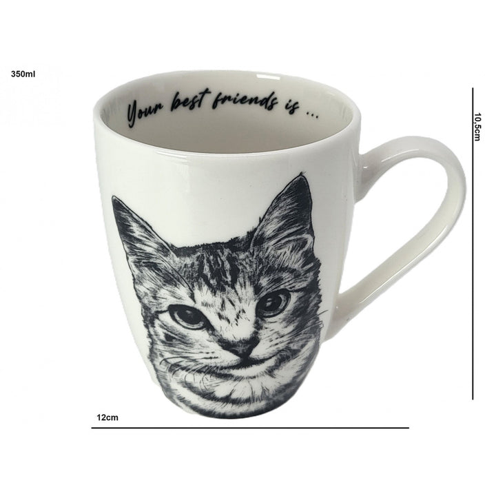 Taza de porcelana Reina Isabel, gata americana de pelo corto, 350ml, Q1-05195