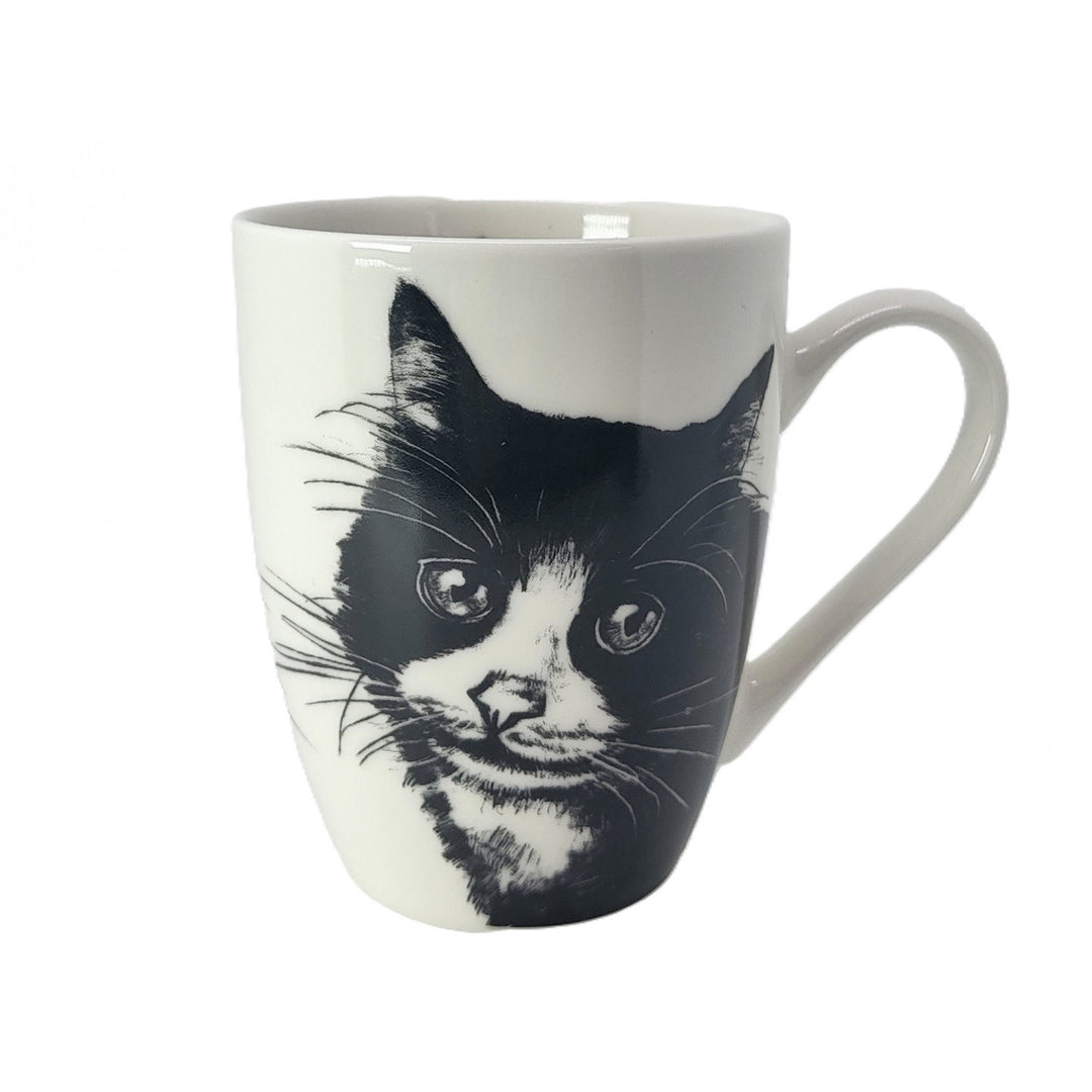 Taza de porcelana Reina Isabel, gato europeo, 350ml, Q1-05218