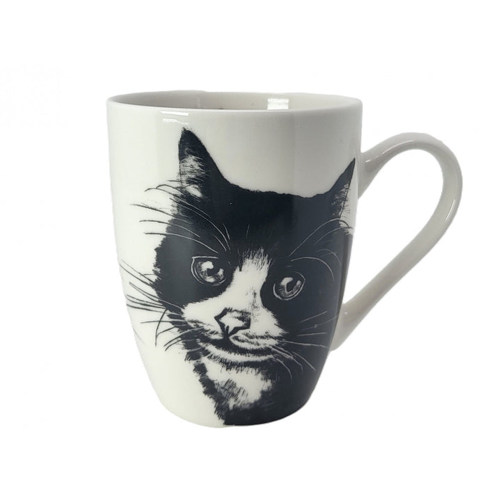 Taza de porcelana Reina Isabel, gato europeo, 350ml, Q1-05218