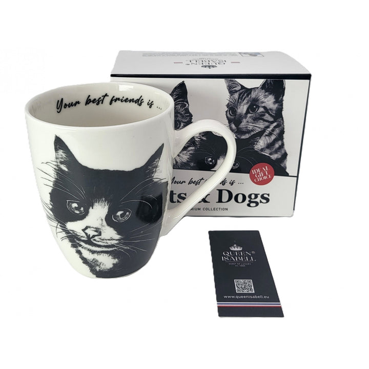 Taza de porcelana Reina Isabel, gato europeo, 350ml, Q1-05218