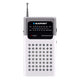 Radio portátil AM/FM Blaupunkt, con conector minijack integrado, amplificador integrado, antena telescópica, ligera y manejable, alimentación mediante dos pilas AA de 3 V, PR4WH
