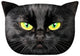 Almofada de design com motivo de gato Almofada decorativa com zíper oculto e enchimento Almofada Nero