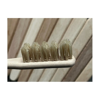 Starmann Cepillo Natural de Dientes de Madera, Cerdas de Cerdo, SDZD