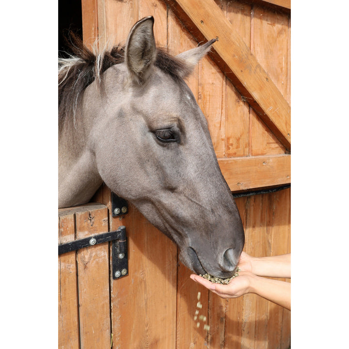 Animax Bolas de hierba, alimento para caballos, a base de hierba de la tierra de los lagos, bolsa de 15 kg.