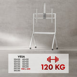 Suporte/carrinho TV Maclean, prateleira para câmara, sobre rodas, 55-100", carga máxima 120 kg/prateleira de 10 kg, VESA máx. 900x600, branco, MC-114 W