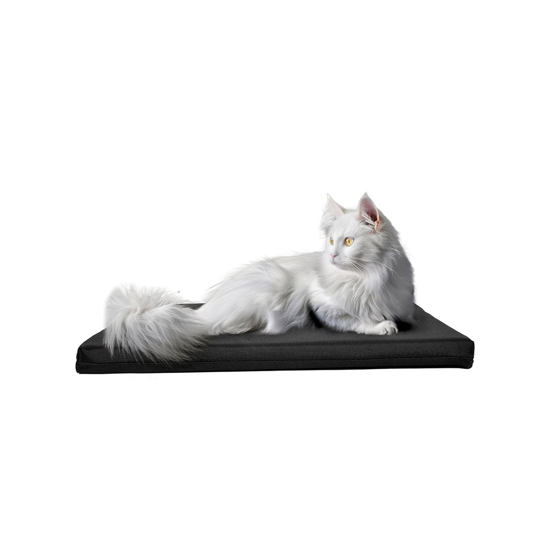 Woodok Colchón para cama de perro, Tejido oxford, Espuma T30, 45x30 cm, Color negro
