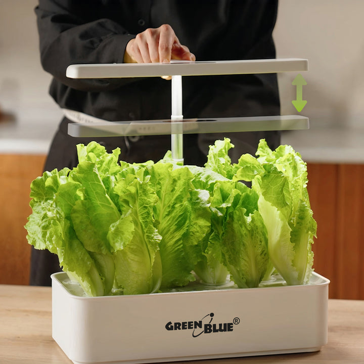 Sistema inteligente de cultivo de plantas de interior GreenBlue, maceta SMART, 4L de capacidad, para 12 plantas, LED de espectro completo, GB133