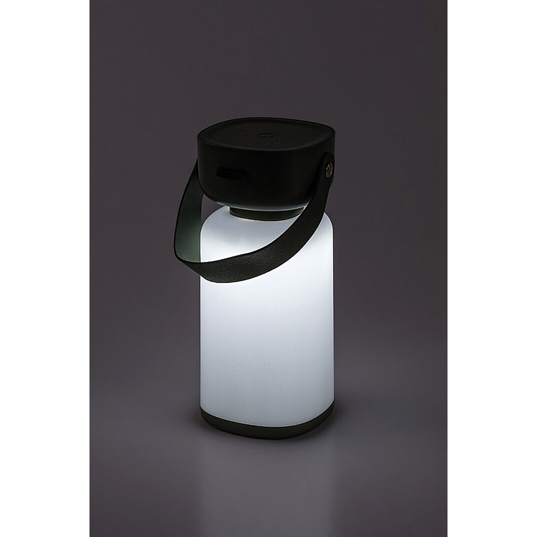 Rabalux Funes Lámpara decorativa, exterior, IP44, 3W, verde