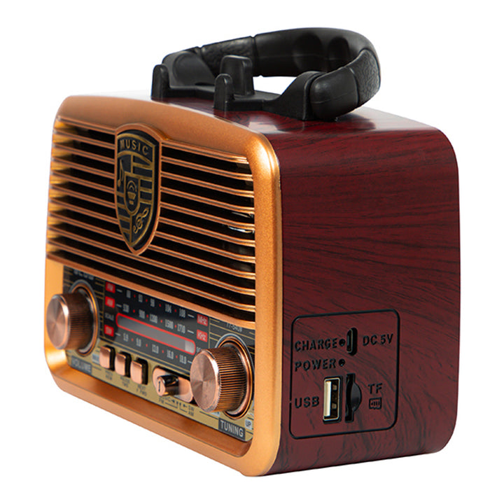 BLOW Radio portátil solar analógica AM/FM BT RA10, AUX, USB, TWS
