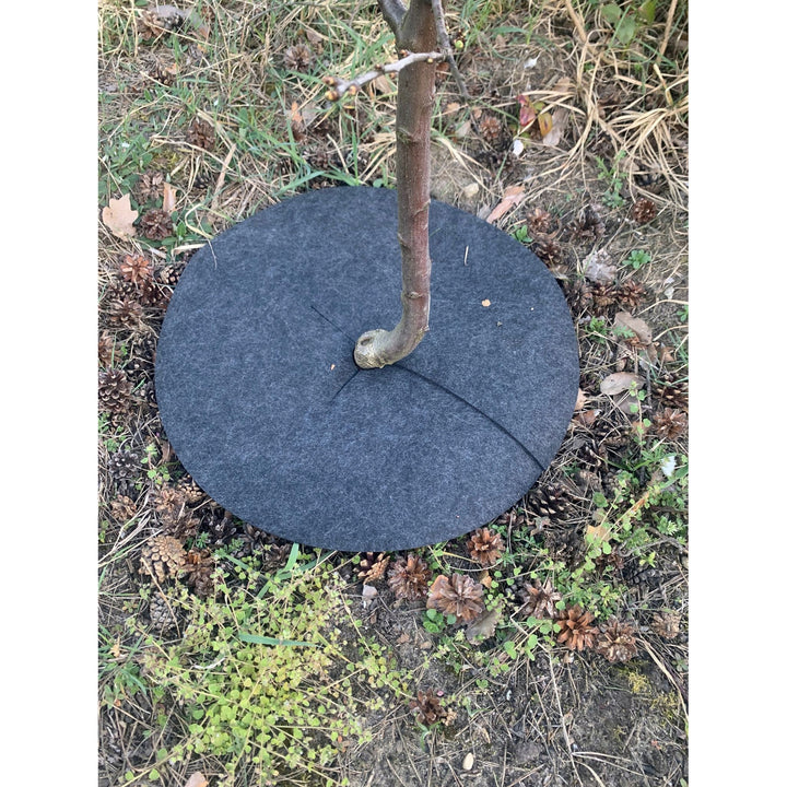 Juego de discos antihierba Bertoni, 3 piezas, 50 cm, gris