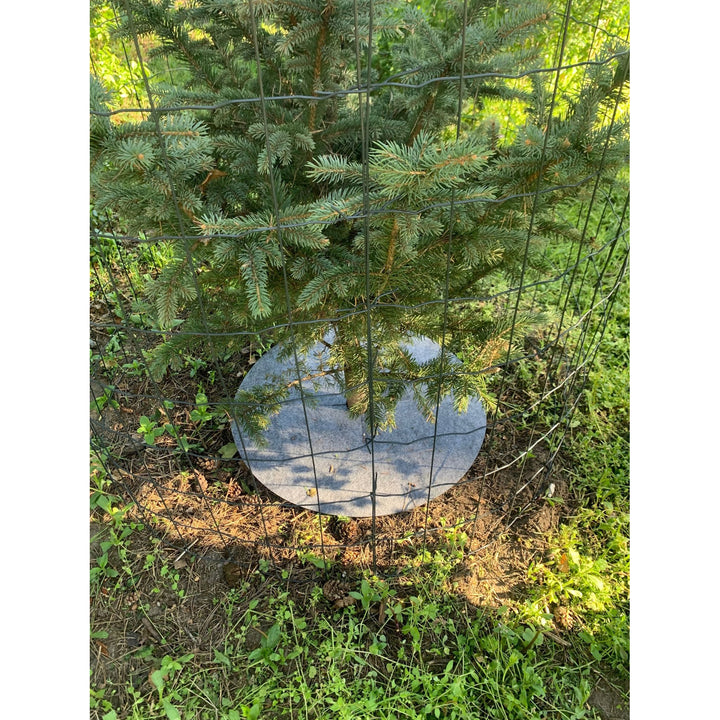 Juego de discos antihierba Bertoni, 3 piezas, 50 cm, gris
