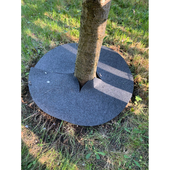 Juego de discos antihierba Bertoni, 3 piezas, 50 cm, gris