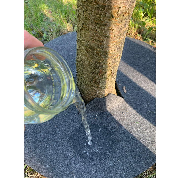 Juego de discos antihierba Bertoni, 3 piezas, 50 cm, gris
