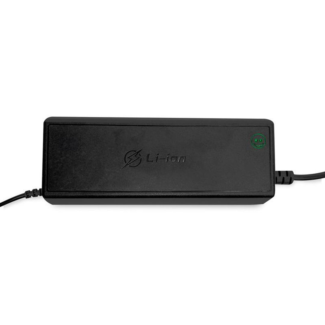 LTC Energy LiFePO4 Rectificador de batería, BMS, 20A, 230/14,6V, 300W de potencia, protecciones incorporadas, LXPOE20