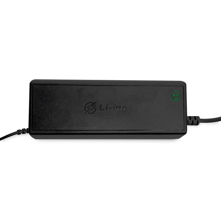 LTC Energy LiFePO4 Rectificador de batería, BMS, 20A, 230/14,6V, 300W de potencia, protecciones incorporadas, LXPOE20