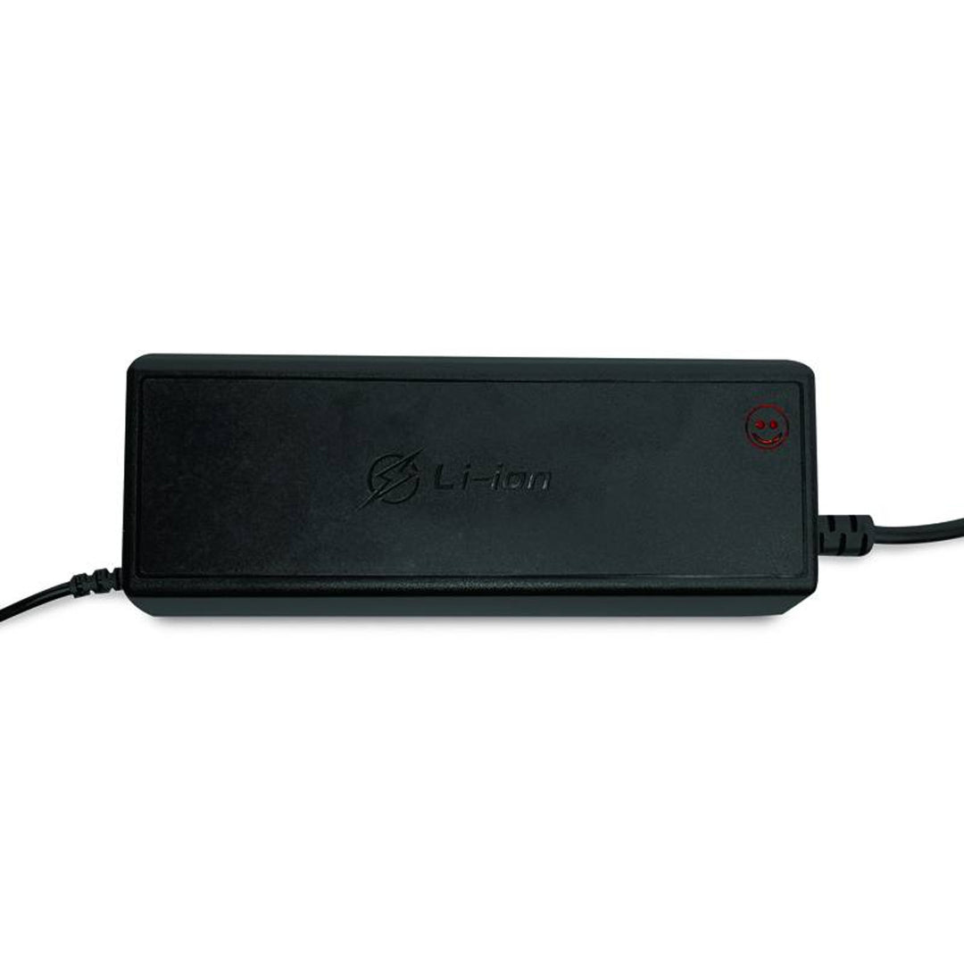 LTC Energy LiFePO4 Rectificador de batería, BMS, 20A, 230/14,6V, 300W de potencia, protecciones incorporadas, LXPOE20