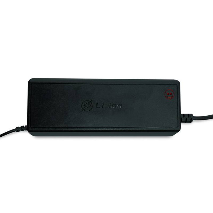 LTC Energy LiFePO4 Rectificador de batería, BMS, 20A, 230/14,6V, 300W de potencia, protecciones incorporadas, LXPOE20