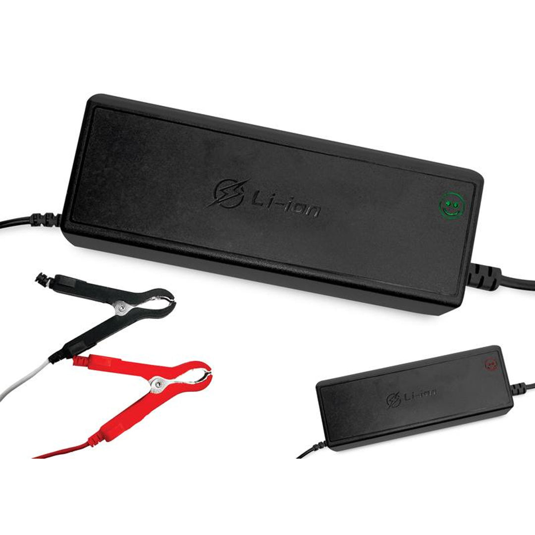 LTC Energy LiFePO4 Rectificador de batería, BMS, 20A, 230/14,6V, 300W de potencia, protecciones incorporadas, LXPOE20