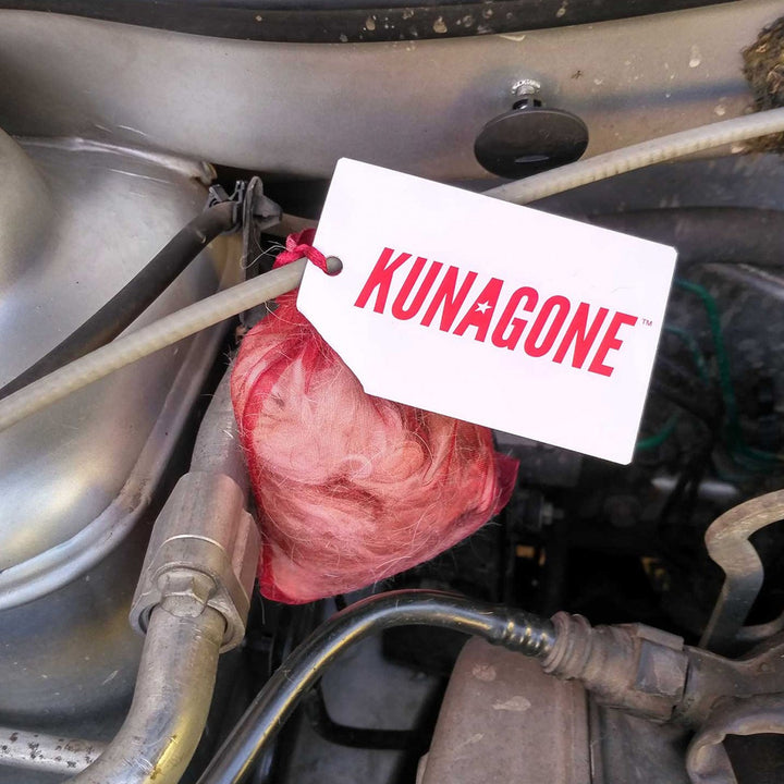 Kunagone repelente de marta, natural, para coche, casa, ático, 1 pieza