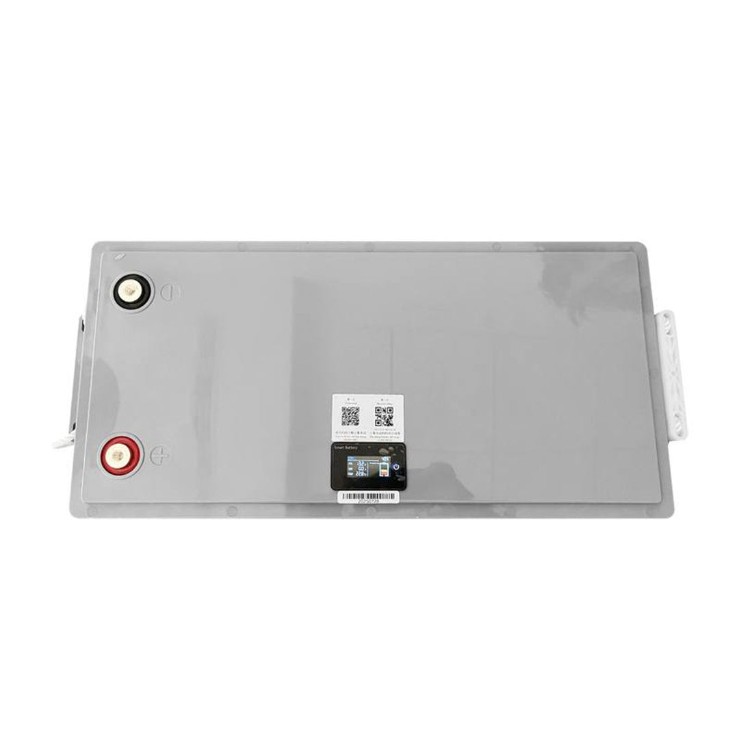 Batería LiFePo4 Lexton de litio hierro fosfato, con BMS, 12,8V, 200Ah, LXLFP200 + cargador de batería LTC Energy LiFePO4