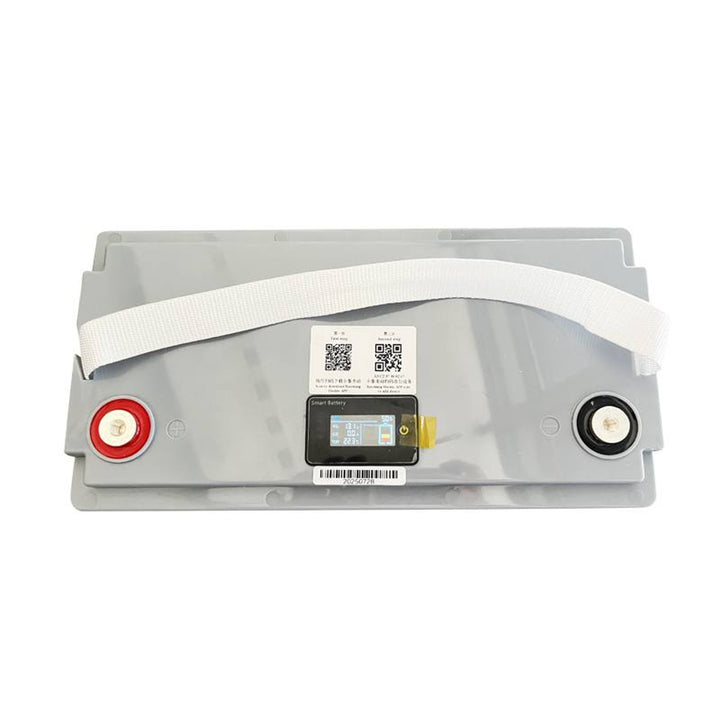 Batería LiFePo4 Lexton de litio-hierro-fosfato, con BMS, 12,8V, 100Ah, LXLFP100 + cargador de baterías LiFePO4 LTC Energy