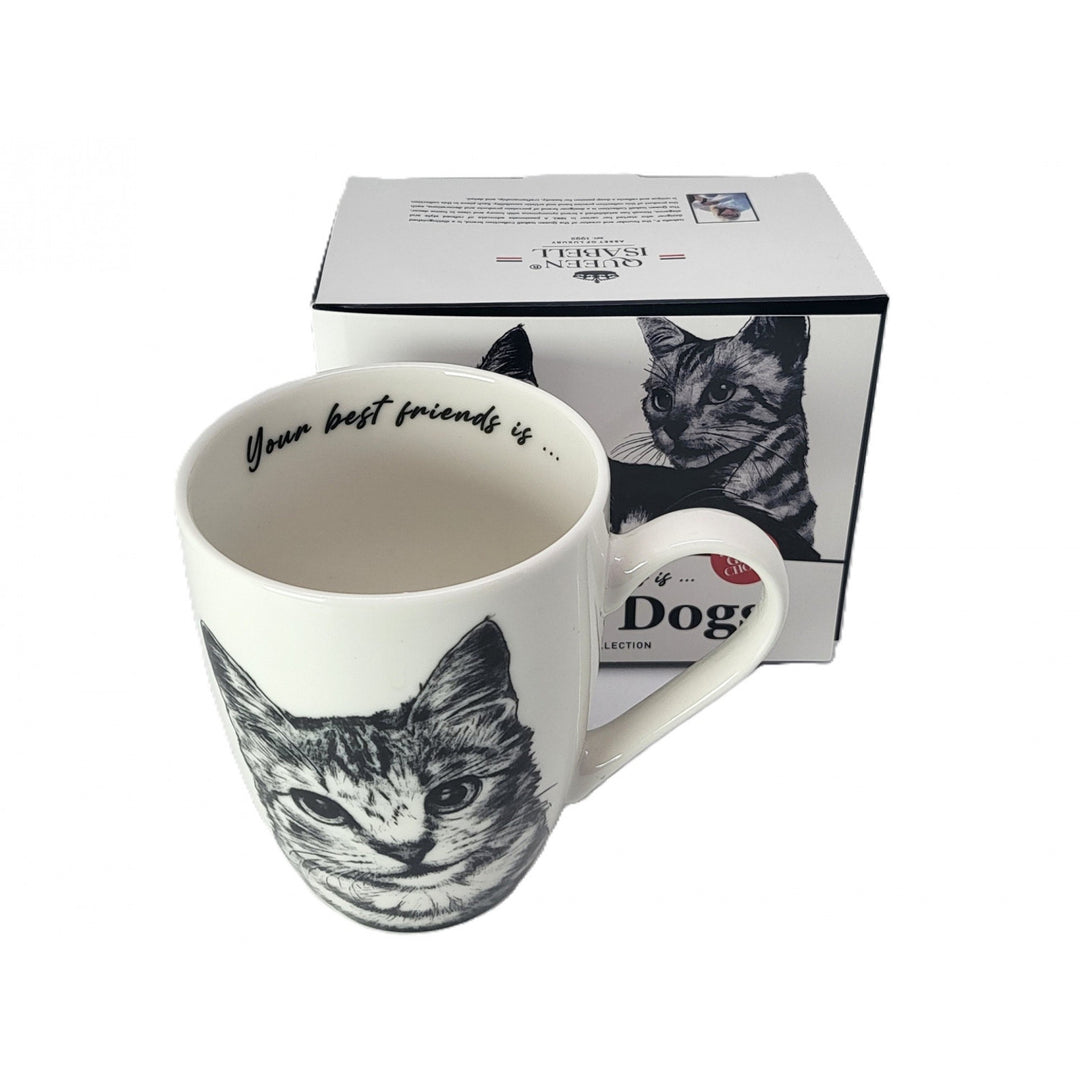 Taza de porcelana Reina Isabel, gata americana de pelo corto, 350ml, Q1-05195