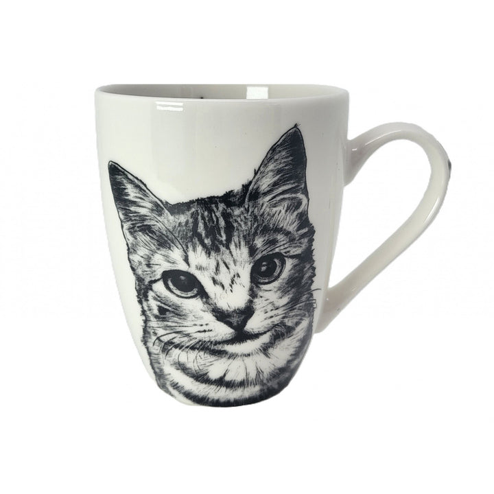 Taza de porcelana Reina Isabel, gata americana de pelo corto, 350ml, Q1-05195