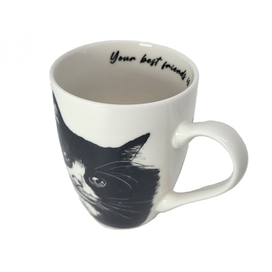 Taza de porcelana Reina Isabel, gato europeo, 350ml, Q1-05218