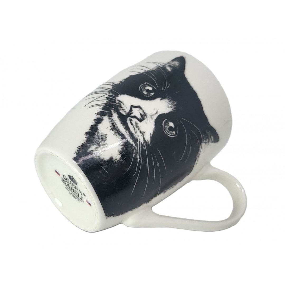 Taza de porcelana Reina Isabel, gato europeo, 350ml, Q1-05218
