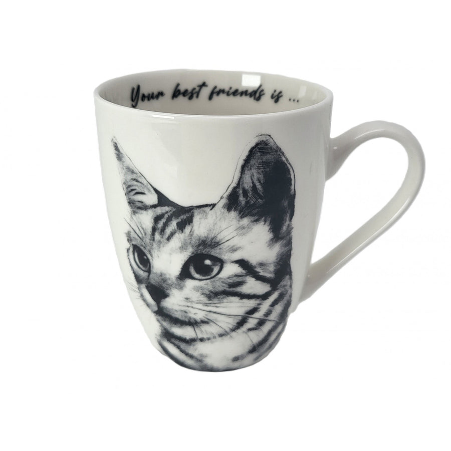 Taza de porcelana Reina Isabel, gato Sokake, 350ml, Q1-05218