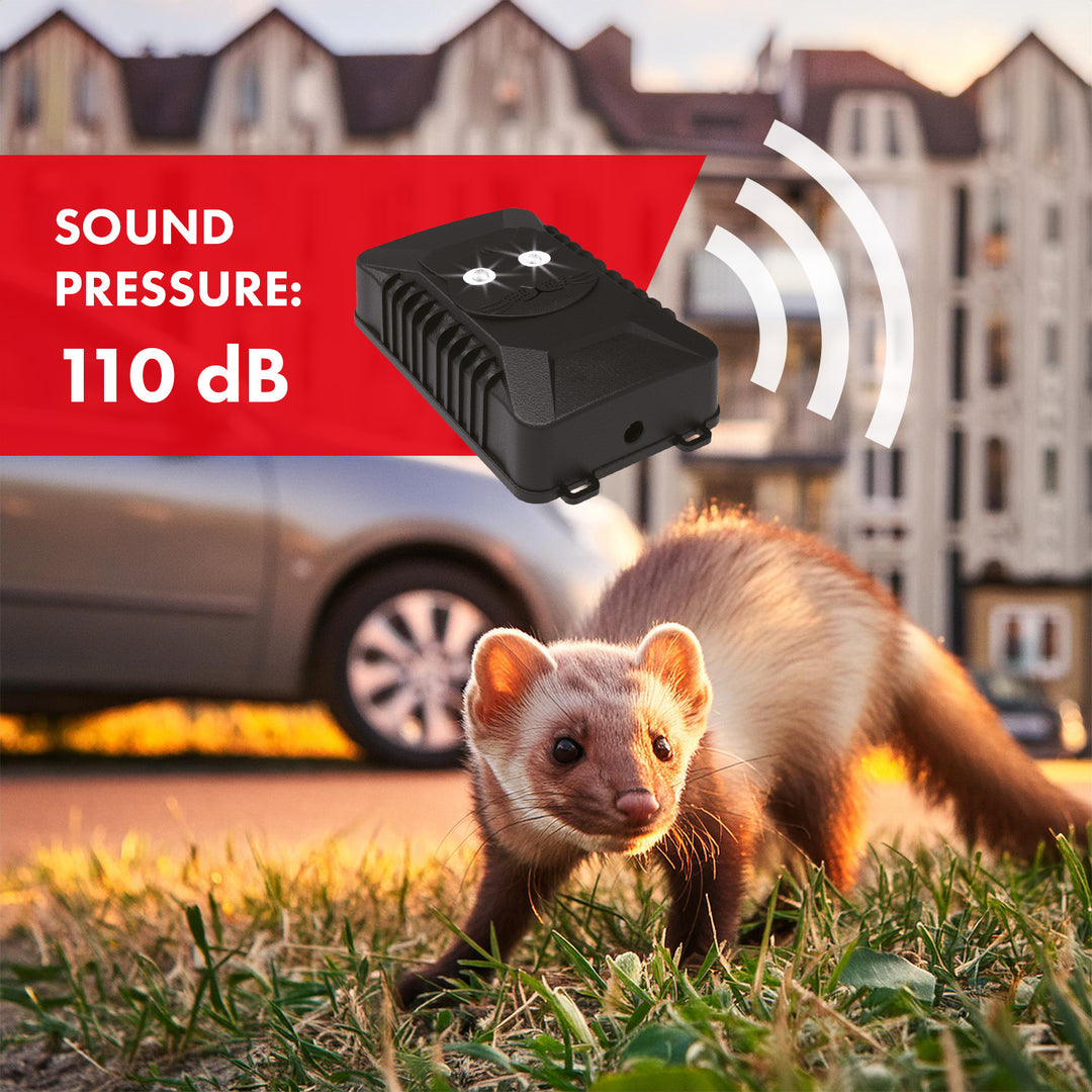 Ahuyentador de roedores y martas GreenBlue GB725 con ultrasonidos y LED + 4 pilas AA Varta Industrial