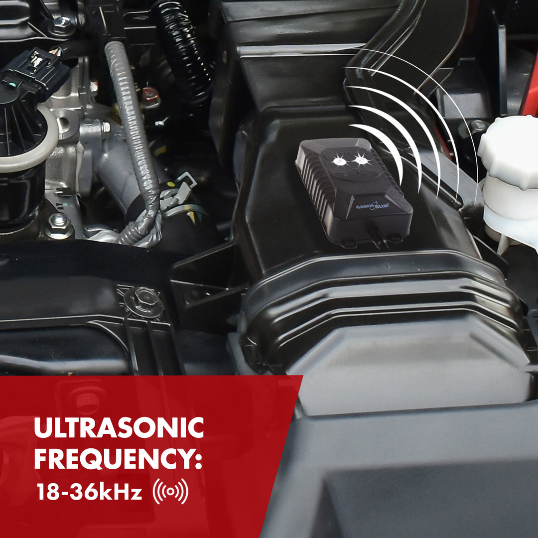 Ahuyentador de roedores y martas GreenBlue GB725 con ultrasonidos y LED + 4 pilas AA Varta Industrial