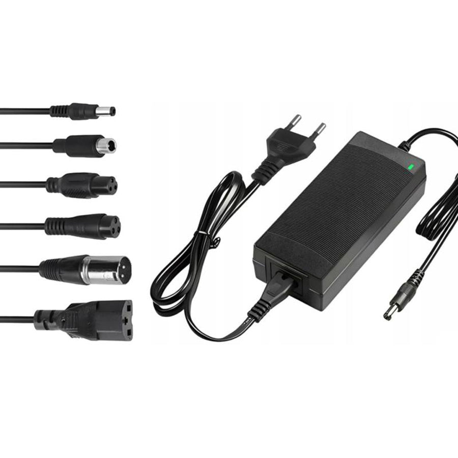 Cargador universal Lextool para scooters y vehículos eléctricos, 54,6V 2A, 6 enchufes DC, LXG95