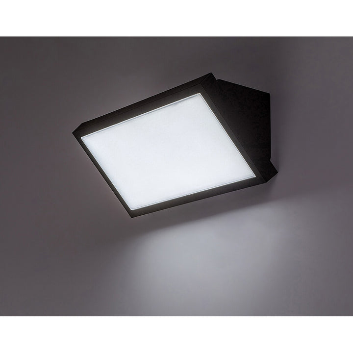 Lámpara Rabalux Rapla2 LED 18 W, negra, IP65, clase energética F, regulación de la temperatura de color: 2700, 4000, 6500 K, 77150