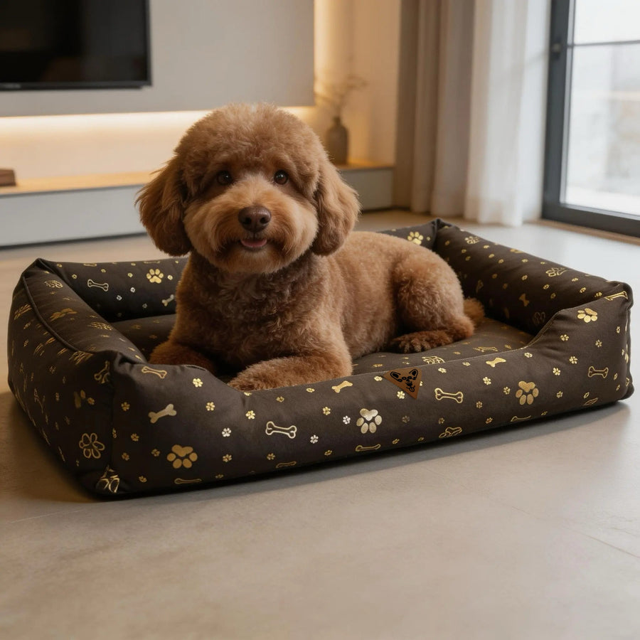Cama para perro, 100 x 75, impermeable, con huesos dorados, desmontable, Dogs4life
