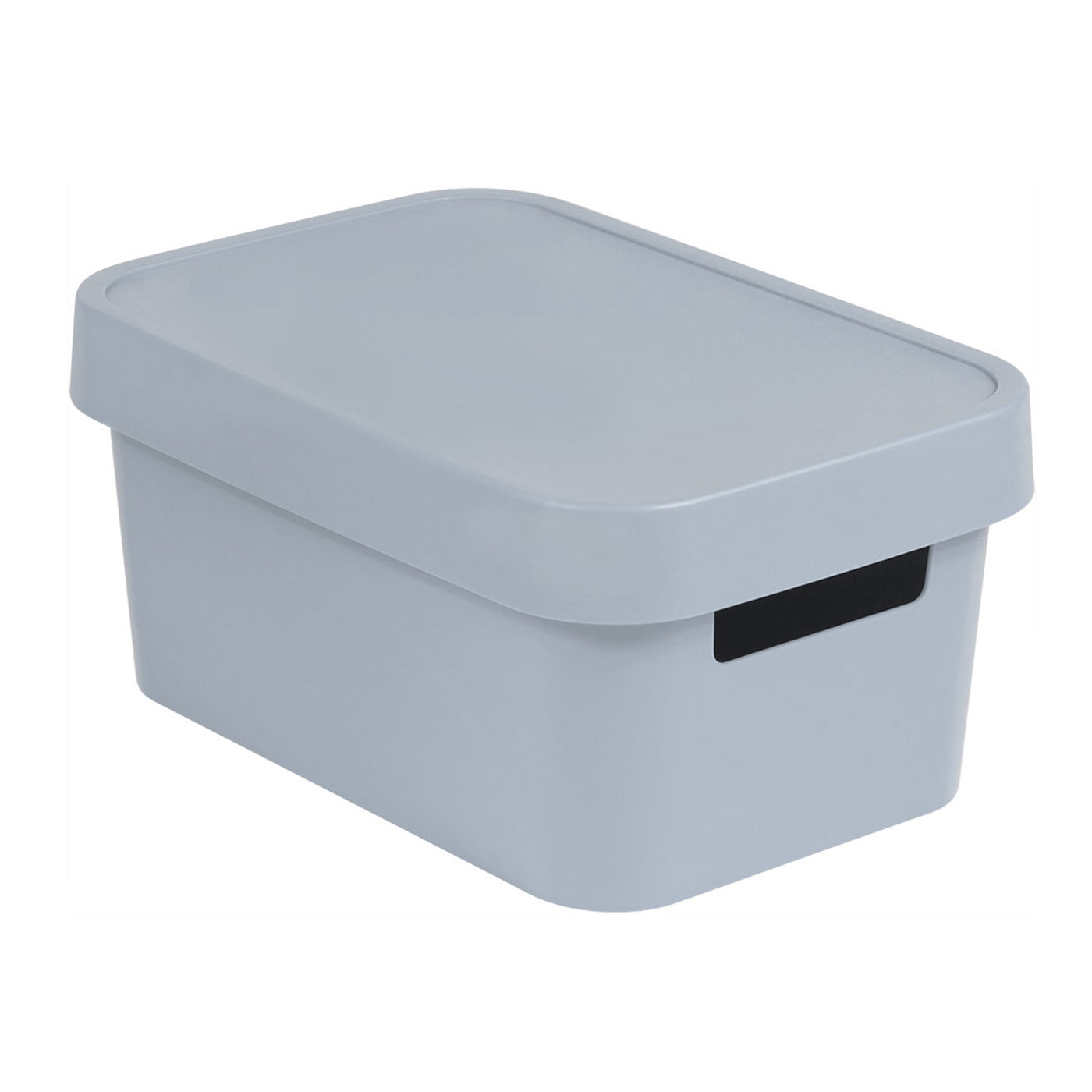 Caja de almacenamiento con tapa Curver Infinity 4.5L gris