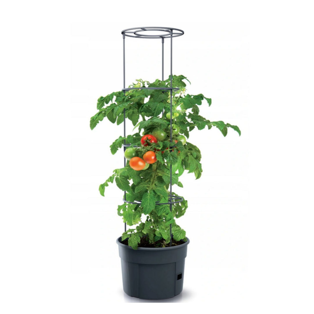 Pote para tomateiro 12L Tomate Grower IPOM300-S433