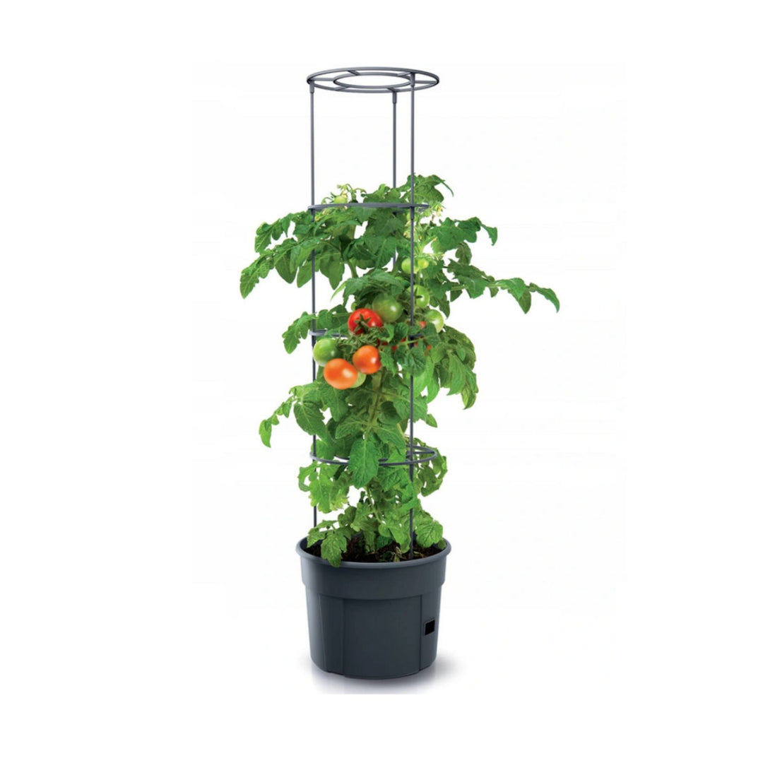 Maceta para planta de tomate de plástico 28L Tomato Grower IPOM400-S433