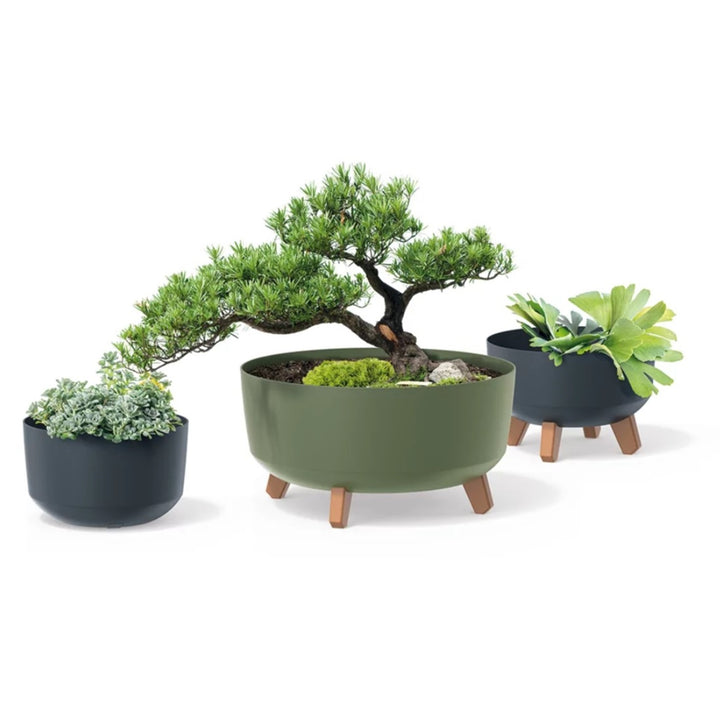 Prosperplast Gracia Vaso baixo com pernas removíveis incl. inserto para uso interno e externo Plantador redondo de plástico resistente a UV (285mm, Branco) ...