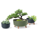 Gracia Maceta Estándar con Patas Desmontables incl. Inserto para uso interior y exterior Jardinera Plástico Redonda (238mm, Verde )