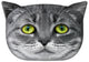 Cojín de diseño con motivo de gato Cojín decorativo con cremallera oculta y relleno Cojín Lolek