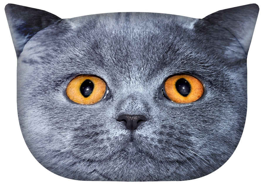 Cojín de diseño con motivo de gato Cojín decorativo con cremallera oculta y relleno Cojín León