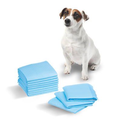 GreenBlue GB495 Juego de Empapadores de Adiestramiento para Perros y Cachorros Empapadores Higiénicos Desechables 6 Capas (60x40cm, 50 unidades)