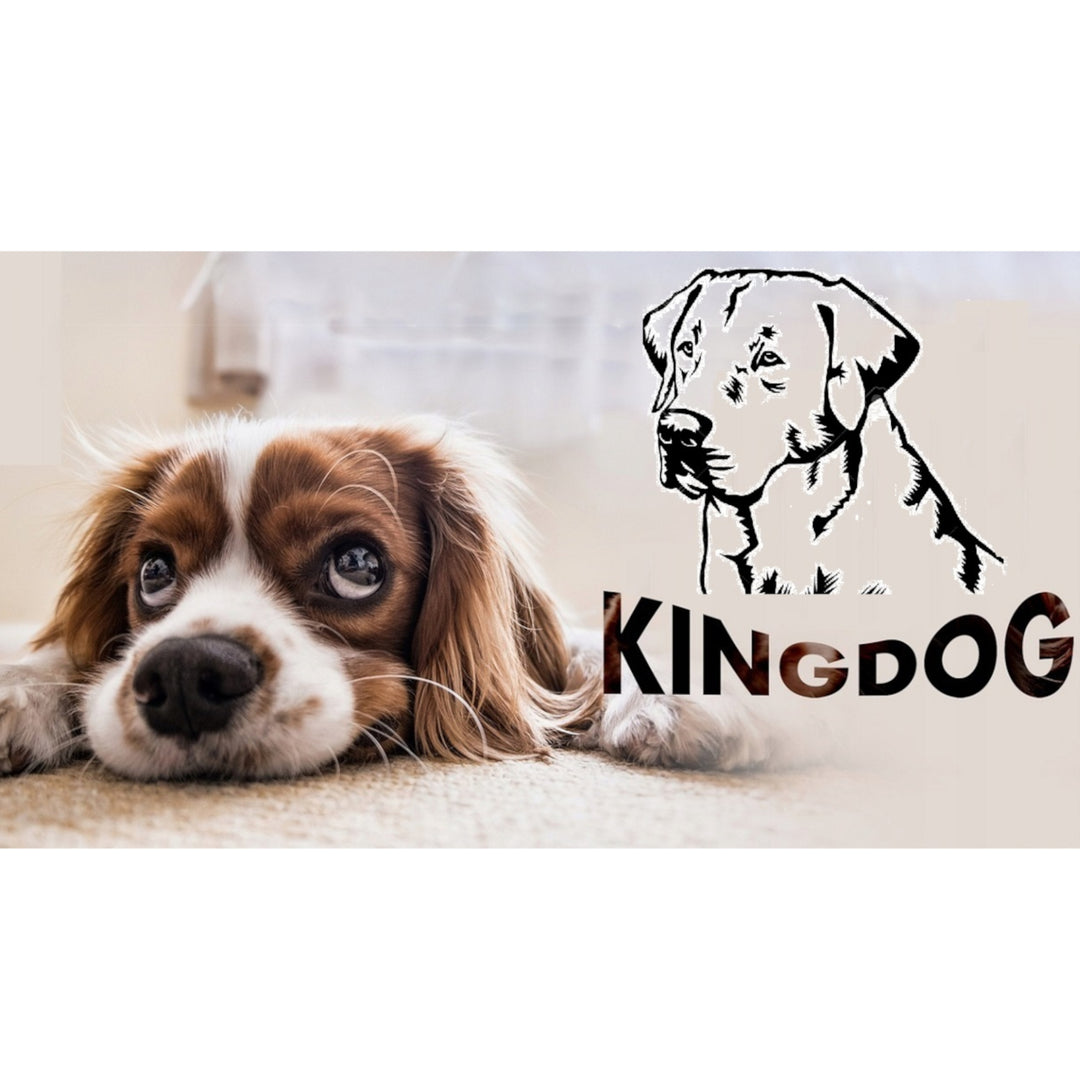 Cama grande para perros y gatos 75 x 65 Azul - Kingdog talla M