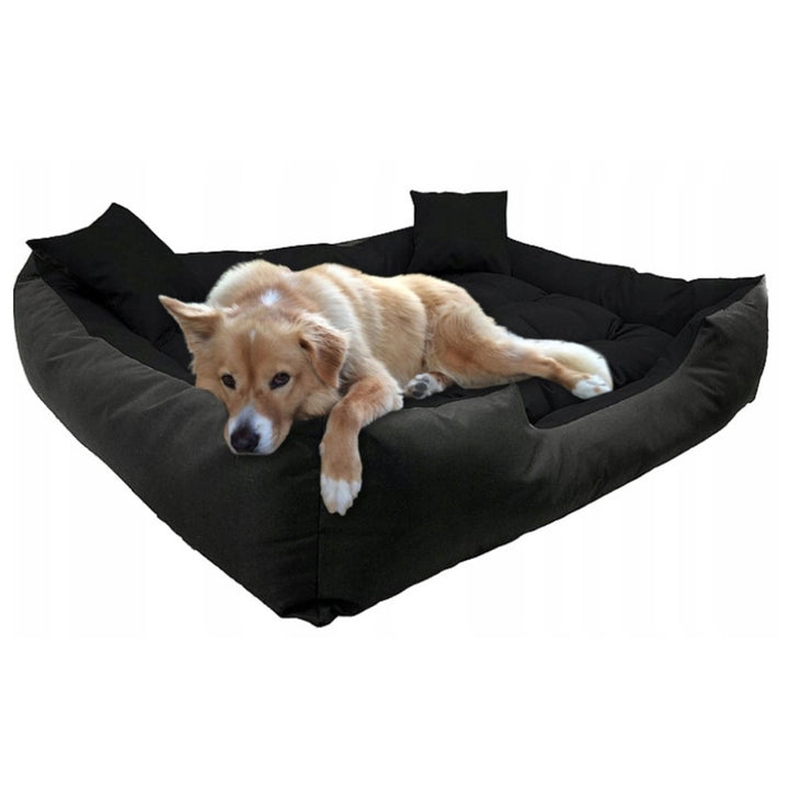 Cama KingDog Ecco para cães e gatos com almofada. Material impermeável lavável 55x45 cm cor preta